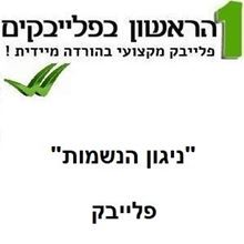 תמונה של ניגון הנשמות - חנן בן ארי